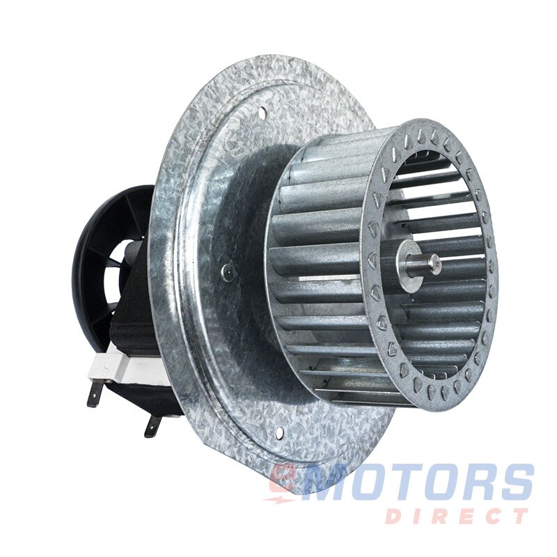 Packard 66753 3200 Open | eMotors Direct