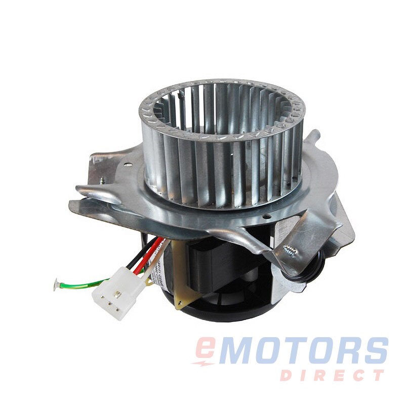 モーターヘッド 13-18 Kawasaki ZX 636 ZX6R Motor Engine Cylinder Head - Sun Coast